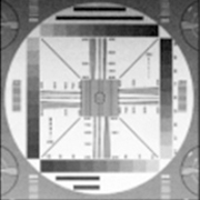 Resolution chart image taken after gamma irradiation.